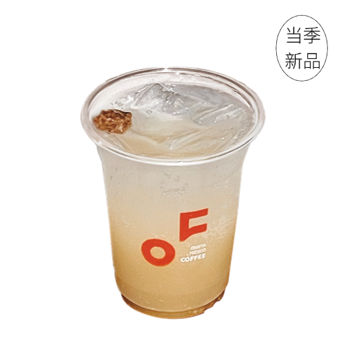 话梅油柑气泡水